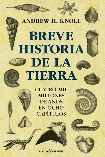 BREVE HISTORIA DE LA TIERRA | 9788412402445 | Knoll | Llibres.cat | Llibreria online en català | La Impossible Llibreters Barcelona