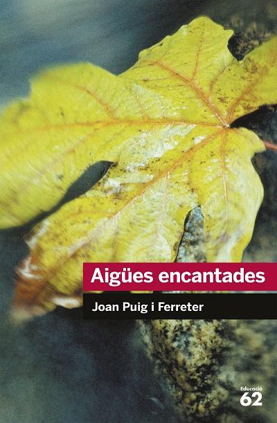 Aigües encantades | 9788492672431 | Puig i Ferreter, Joan | Llibres.cat | Llibreria online en català | La Impossible Llibreters Barcelona
