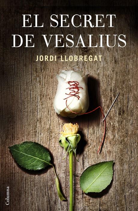El secret de Vesalius | 9788466419796 | Llobregat, Jordi | Llibres.cat | Llibreria online en català | La Impossible Llibreters Barcelona