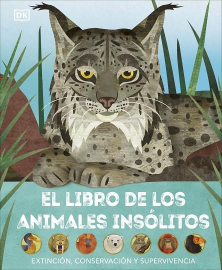 El libro de los animales insólitos | 9780241637692 | DK | Llibres.cat | Llibreria online en català | La Impossible Llibreters Barcelona