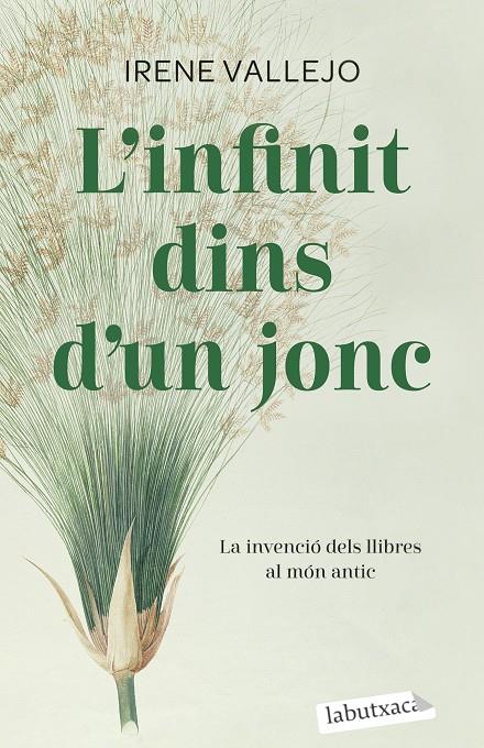 L'infinit dins d'un jonc | 9788419107121 | Vallejo, Irene | Llibres.cat | Llibreria online en català | La Impossible Llibreters Barcelona