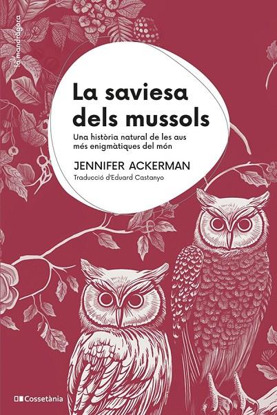 La saviesa dels mussols | 9788413563558 | Ackerman, Jennifer | Llibres.cat | Llibreria online en català | La Impossible Llibreters Barcelona