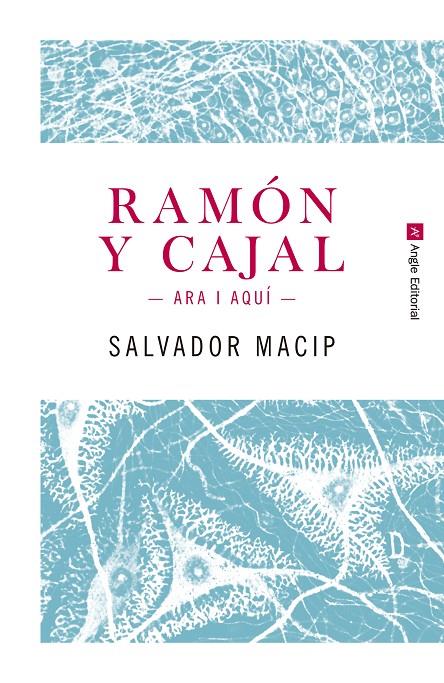 Ramón y Cajal. Ara i aquí | 9788415307242 | Macip Maresma, Salvador | Llibres.cat | Llibreria online en català | La Impossible Llibreters Barcelona