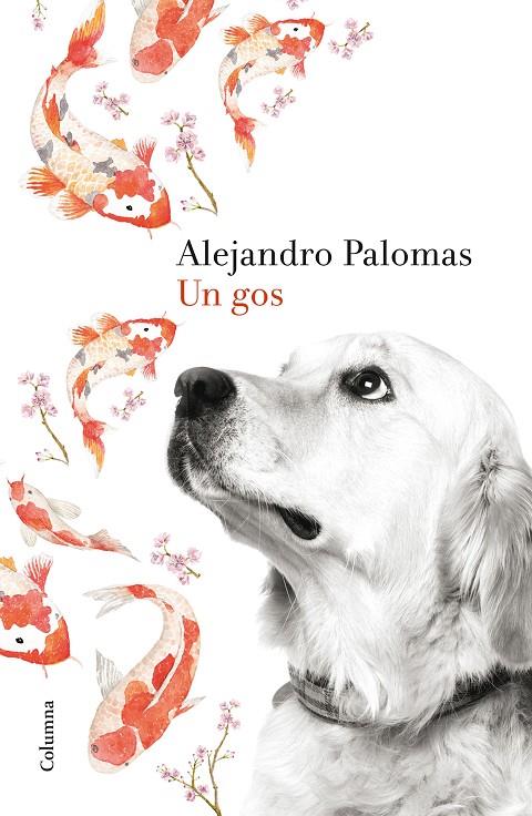 Un gos | 9788466420426 | Alejandro Palomas | Llibres.cat | Llibreria online en català | La Impossible Llibreters Barcelona