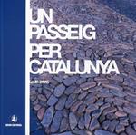 Un passeig per Catalunya | 9788493665326 | Zayas, Lluís | Llibres.cat | Llibreria online en català | La Impossible Llibreters Barcelona