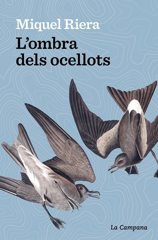 L’ombra dels ocellots | 9788419245403 | Riera, Miquel | Llibres.cat | Llibreria online en català | La Impossible Llibreters Barcelona