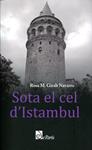 Sota el cel d'Istambul | 9788493593605 | Giralt Navarro, Rosa M. | Llibres.cat | Llibreria online en català | La Impossible Llibreters Barcelona