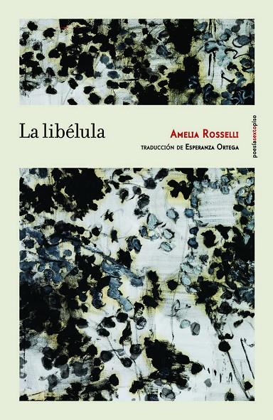 La libélula | 9788415601876 | Rosselli, Amelia | Llibres.cat | Llibreria online en català | La Impossible Llibreters Barcelona
