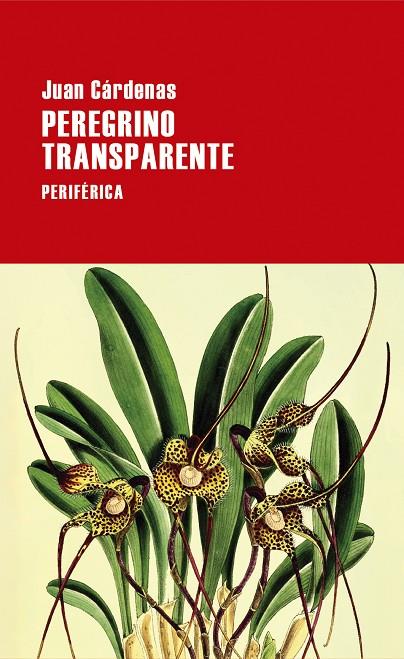 Peregrino transparente | 9788418838620 | Cárdenas, Juan | Llibres.cat | Llibreria online en català | La Impossible Llibreters Barcelona