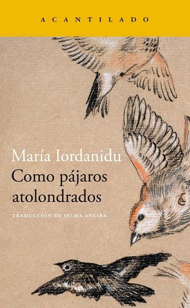 Como pájaros atolondrados | 9788419036704 | Iordanidu, Maria | Llibres.cat | Llibreria online en català | La Impossible Llibreters Barcelona