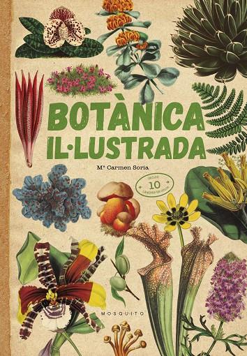 Botànica Il·lustrada | 9788419095091 | Soria, Carmen | Llibres.cat | Llibreria online en català | La Impossible Llibreters Barcelona