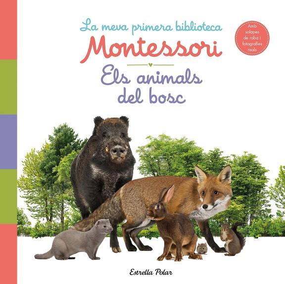Els animals del bosc. La meva primera biblioteca Montessori | 9788413890159 | AA. VV. | Llibres.cat | Llibreria online en català | La Impossible Llibreters Barcelona