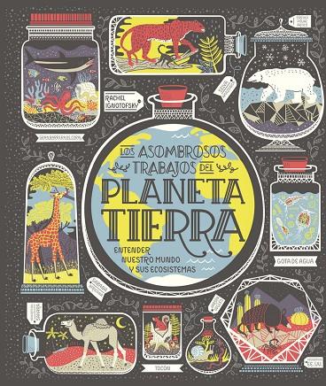 Planeta Tierra | 9788417651794 | Ignotofsky, Rachel | Llibres.cat | Llibreria online en català | La Impossible Llibreters Barcelona