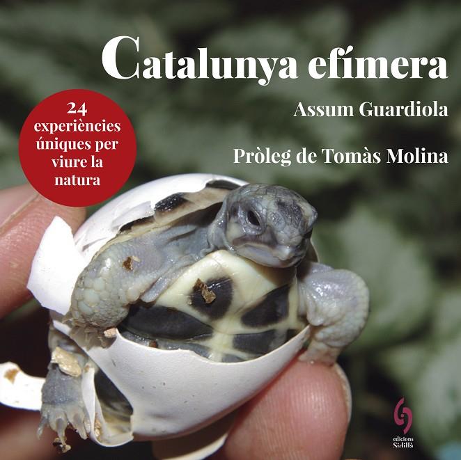 Catalunya efímera | 9788494928147 | Guardiola, Assum | Llibres.cat | Llibreria online en català | La Impossible Llibreters Barcelona