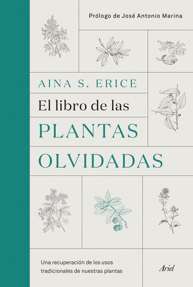 El libro de las plantas olvidadas | 9788434431461 | S. Erice, Aina | Llibres.cat | Llibreria online en català | La Impossible Llibreters Barcelona