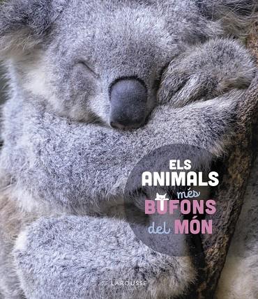 Els animals més bufons del món | 9788419436184 | Ledu, Stéphanie | Llibres.cat | Llibreria online en català | La Impossible Llibreters Barcelona