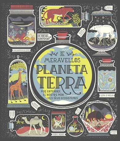 El meravellós planeta Terra | 9788491378778 | Ignotofsky, Rachel | Llibres.cat | Llibreria online en català | La Impossible Llibreters Barcelona