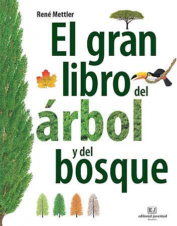El gran libro del arbol y del bosque | 9788426139399 | Mettler. René | Llibres.cat | Llibreria online en català | La Impossible Llibreters Barcelona