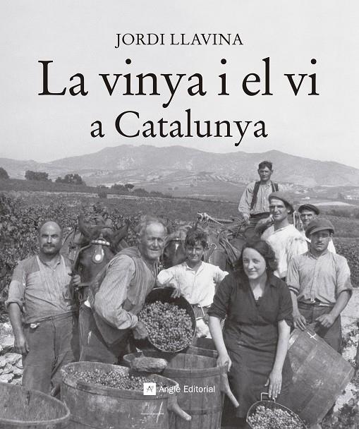 La vinya i el vi a Catalunya | 9788416139187 | Llavina, Jordi | Llibres.cat | Llibreria online en català | La Impossible Llibreters Barcelona