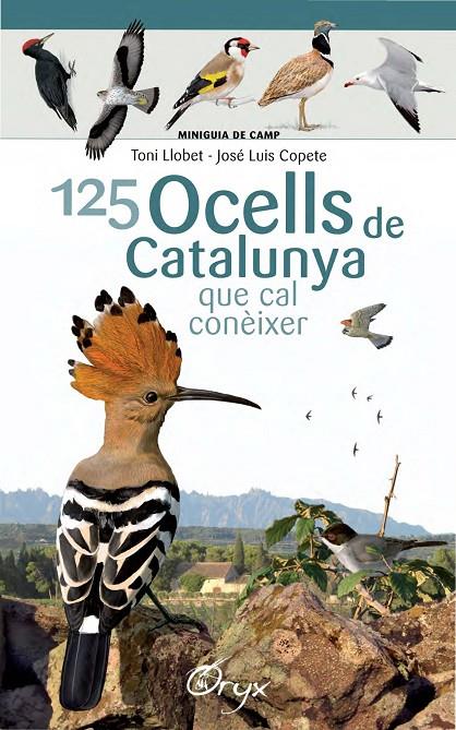 125 ocells de Catalunya | 9788490346747 | Llobet François, Toni/Copete, José Luis | Llibres.cat | Llibreria online en català | La Impossible Llibreters Barcelona