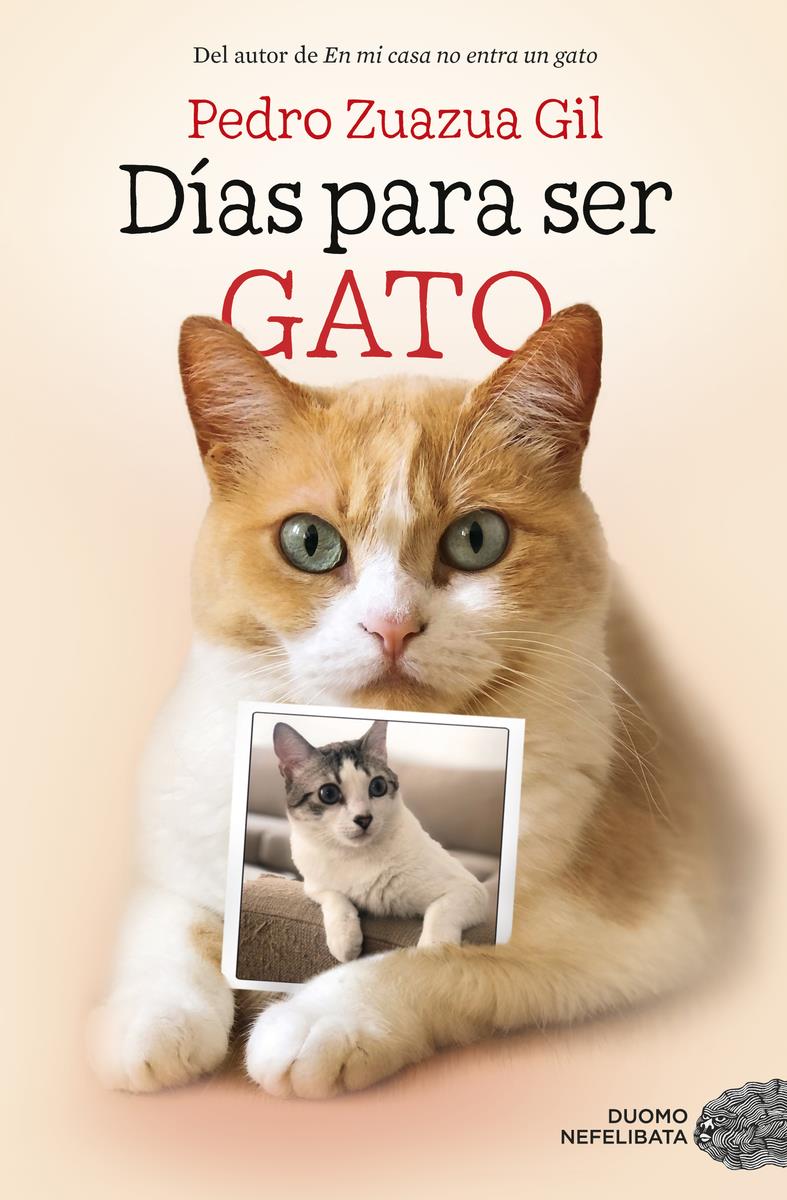Días para ser gato | 9788417128524 | Zuazua Gil, Pedro | Llibres.cat | Llibreria online en català | La Impossible Llibreters Barcelona