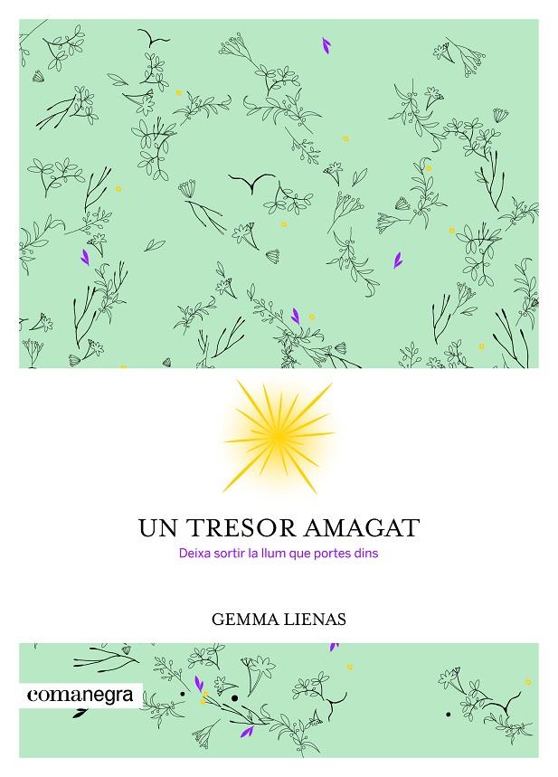 Un tresor amagat | 9788416605347 | Lienas Massot, Gemma | Llibres.cat | Llibreria online en català | La Impossible Llibreters Barcelona