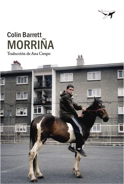 Morriña | 9788412619423 | Barrett, Colin | Llibres.cat | Llibreria online en català | La Impossible Llibreters Barcelona