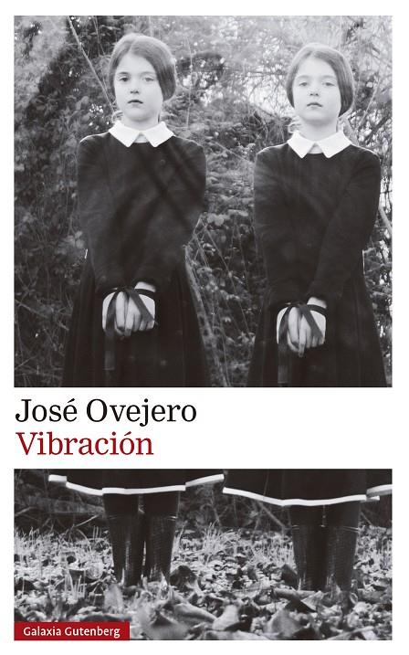Vibración | 9788419738615 | Ovejero, José | Llibres.cat | Llibreria online en català | La Impossible Llibreters Barcelona