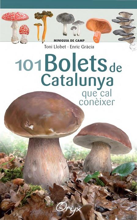 101 bolets de Catalunya | 9788490347096 | Llobet François, Toni/Gràcia, Enric | Llibres.cat | Llibreria online en català | La Impossible Llibreters Barcelona