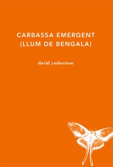 Carbassa emergent (llum de bengala) | 9788494433023 | Ymbernon, David | Llibres.cat | Llibreria online en català | La Impossible Llibreters Barcelona