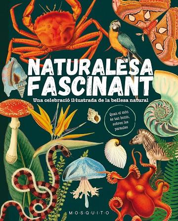 Naturalesa fascinant | 9788419095596 | Mosquito Books | Llibres.cat | Llibreria online en català | La Impossible Llibreters Barcelona