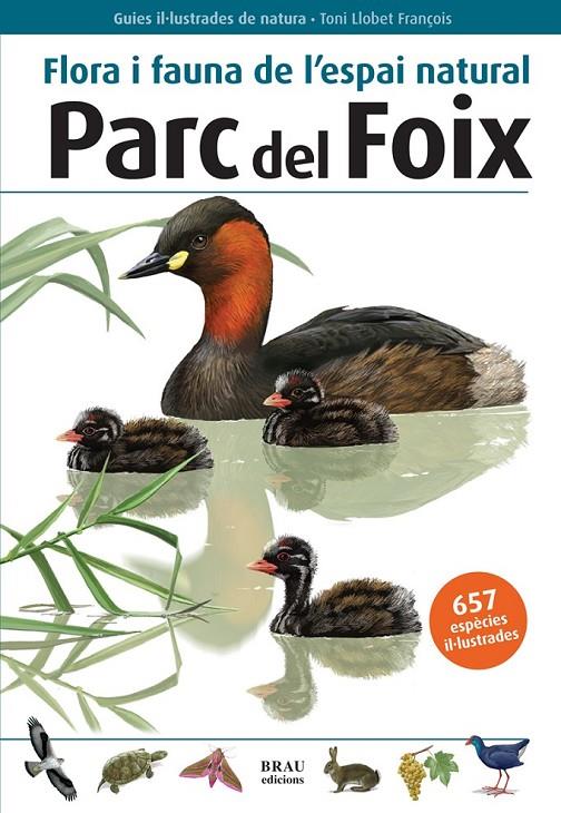 Flora i fauna de l'espai natural Parc del Foix | 9788496905580 | Diversos | Llibres.cat | Llibreria online en català | La Impossible Llibreters Barcelona