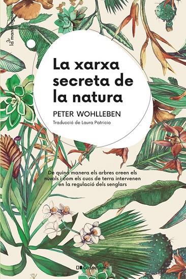 La xarxa secreta de la natura | 9788413562872 | Wohlleben, Peter | Llibres.cat | Llibreria online en català | La Impossible Llibreters Barcelona
