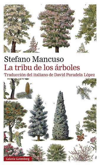 La tribu de los árboles | 9788419392510 | Mancuso, Stefano | Llibres.cat | Llibreria online en català | La Impossible Llibreters Barcelona