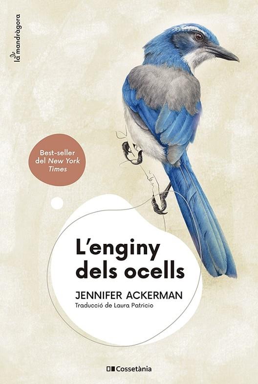 L'enginy dels ocells | 9788413562544 | Ackerman, Jennifer | Llibres.cat | Llibreria online en català | La Impossible Llibreters Barcelona