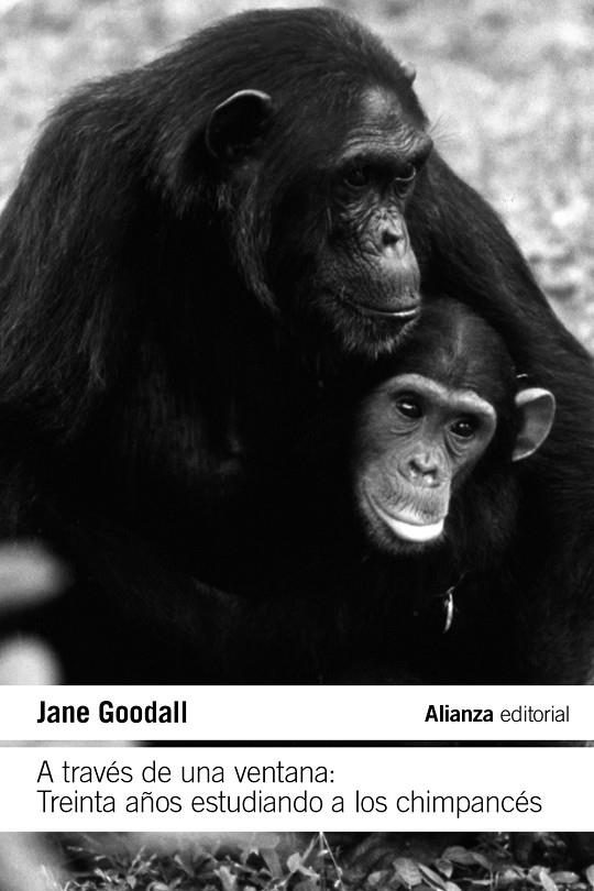 A través de una ventana: Treinta años estudiando a los chimpancés | 9788411485609 | Goodall, Jane | Llibres.cat | Llibreria online en català | La Impossible Llibreters Barcelona