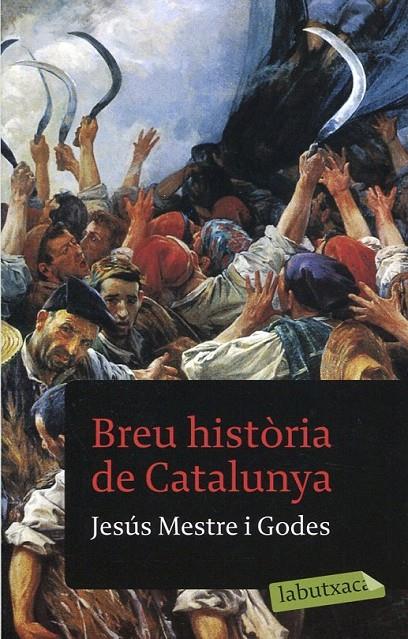 Breu història de Catalunya | 9788499301457 | Mestre i Godes, Jesus | Llibres.cat | Llibreria online en català | La Impossible Llibreters Barcelona