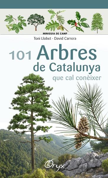 101 arbres de Catalunya | 9788490346778 | Llobet François, Toni/Carrera Bonet, David | Llibres.cat | Llibreria online en català | La Impossible Llibreters Barcelona