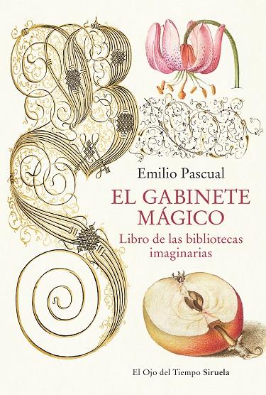 El gabinete mágico | 9788419553041 | Pascual, Emilio | Llibres.cat | Llibreria online en català | La Impossible Llibreters Barcelona