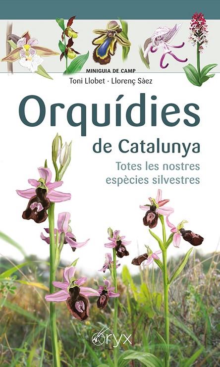Orquídies de Catalunya | 9788413560403 | Sàez Goñalons, Llorenç/Llobet François, Toni | Llibres.cat | Llibreria online en català | La Impossible Llibreters Barcelona