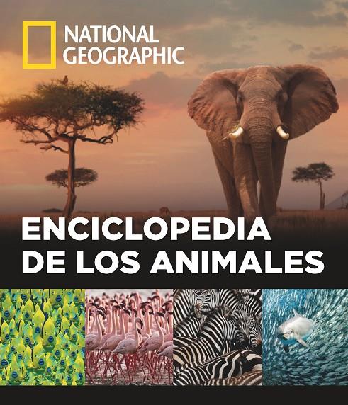 Enciclopedia de los animales | 9788482986432 | Varios autores | Llibres.cat | Llibreria online en català | La Impossible Llibreters Barcelona
