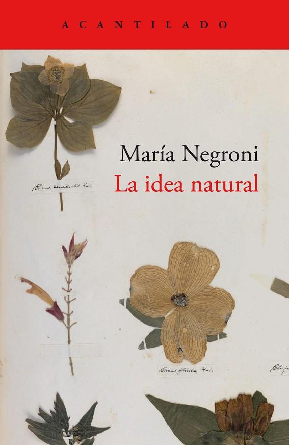 La idea natural | 9788419036872 | Negroni, María | Llibres.cat | Llibreria online en català | La Impossible Llibreters Barcelona