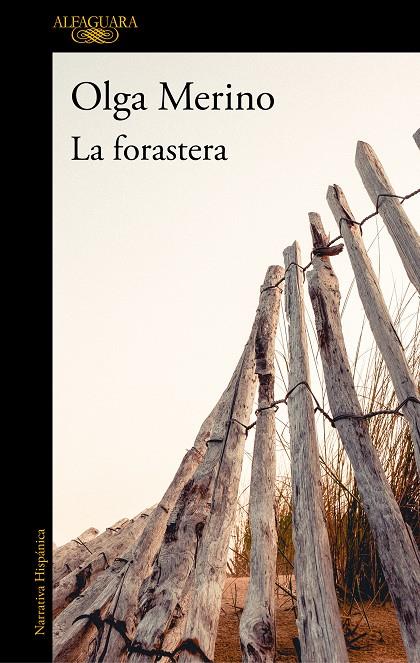 La forastera | 9788420438450 | Merino Lopez, Olga | Llibres.cat | Llibreria online en català | La Impossible Llibreters Barcelona