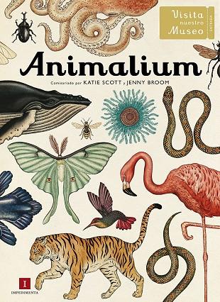 Animalium | 9788415979463 | Llibres.cat | Llibreria online en català | La Impossible Llibreters Barcelona