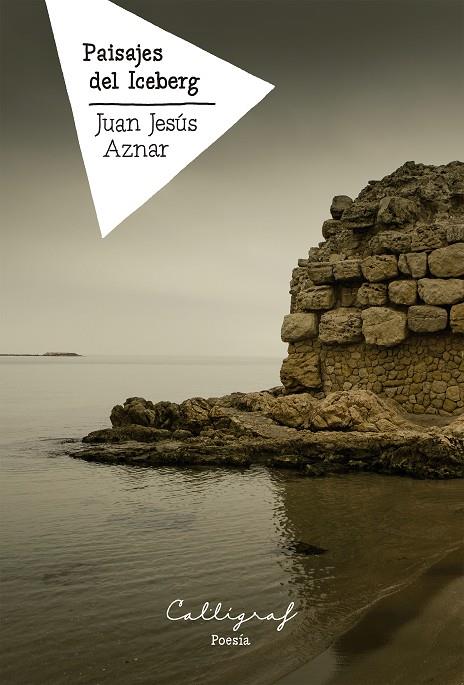 Paisajes del Iceberg | 9788412459241 | Aznar del Águila, Juan Jesús | Llibres.cat | Llibreria online en català | La Impossible Llibreters Barcelona