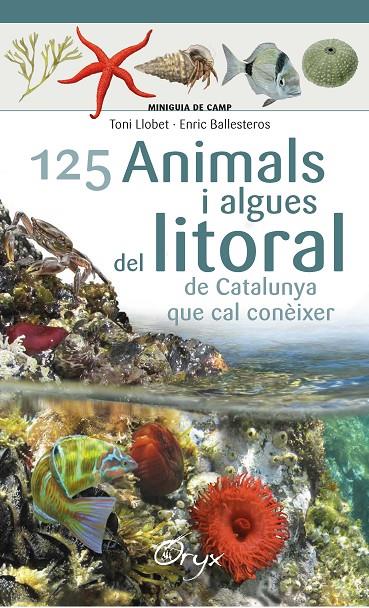 125 animals i algues del litoral de Catalunya | 9788490347416 | Ballesteros Sagarra, Enric | Llibres.cat | Llibreria online en català | La Impossible Llibreters Barcelona