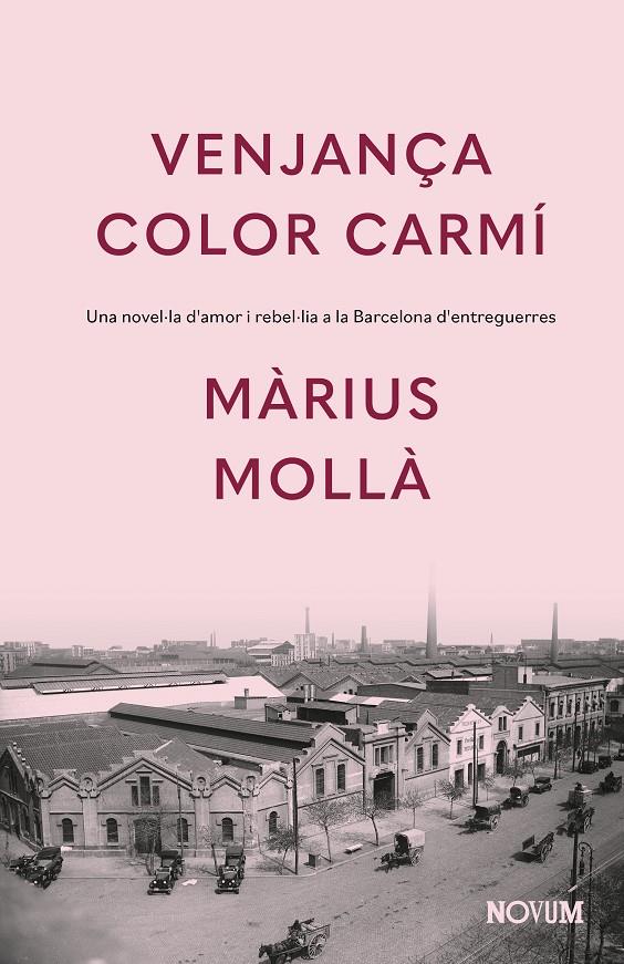 Venjança color carmí | 9788419311924 | Mollà, Màrius | Llibres.cat | Llibreria online en català | La Impossible Llibreters Barcelona