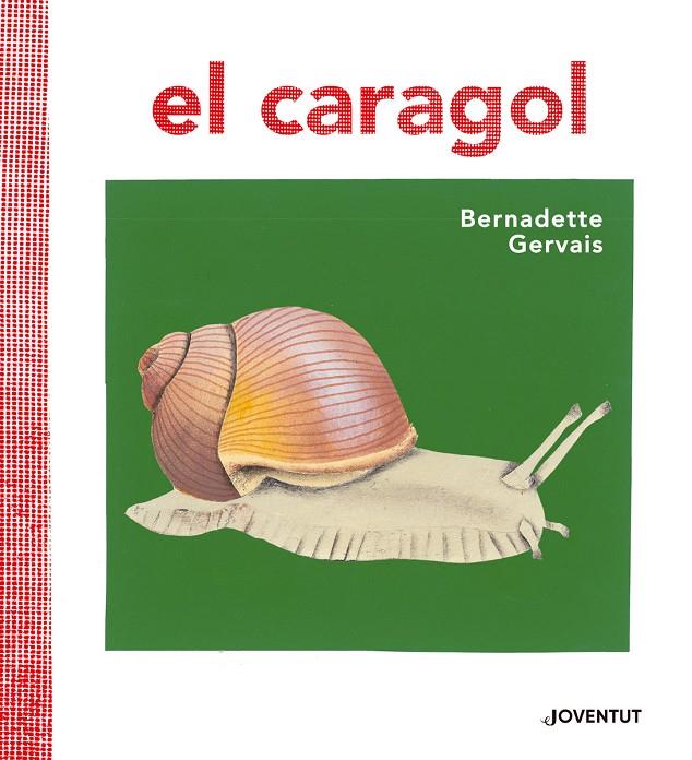 El caragol | 9788426145680 | Gervais, Bernadette | Llibres.cat | Llibreria online en català | La Impossible Llibreters Barcelona