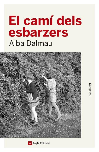 El camí dels esbarzers | 9788417214562 | Dalmau Viure, Alba | Llibres.cat | Llibreria online en català | La Impossible Llibreters Barcelona