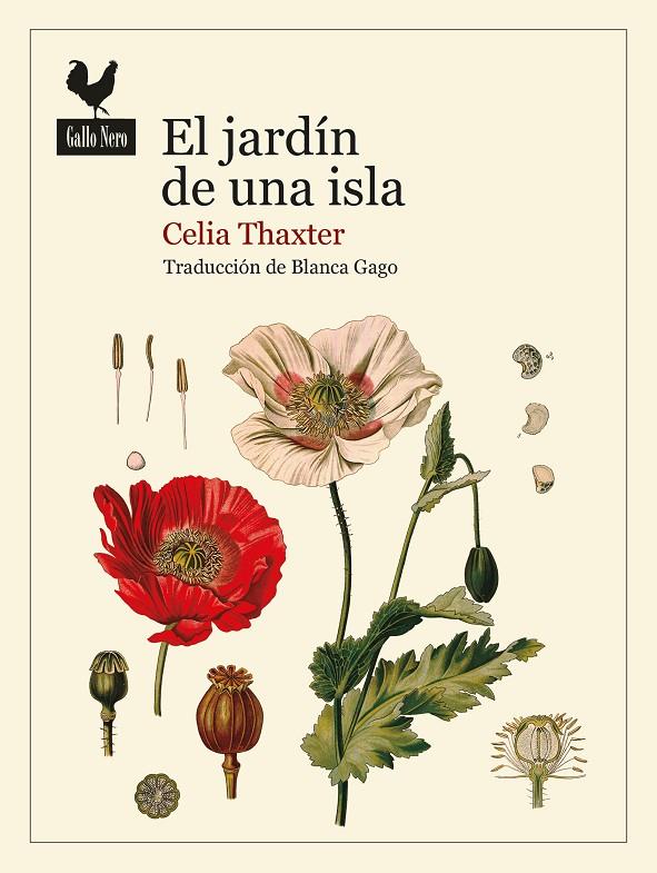 El jardín de una isla | 9788419168139 | Thaxter, Celia | Llibres.cat | Llibreria online en català | La Impossible Llibreters Barcelona